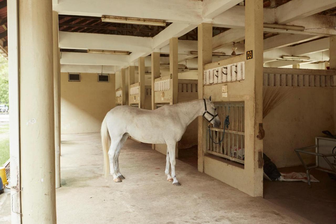 Terengganu Equestrian Resort Kuala Terengganu Exterior foto